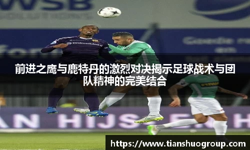 BG视讯官网